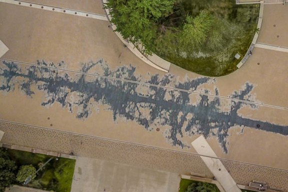 An aerial view of the shadow artwork showing an shadow of a tree