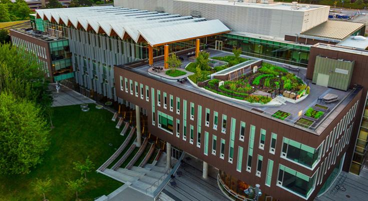 Rooftop garden in the Nest