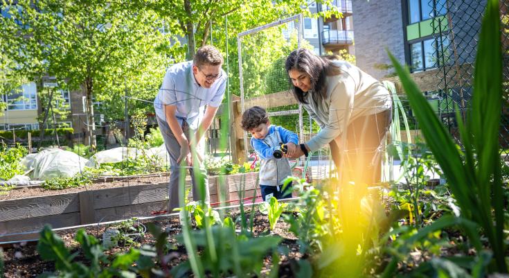 A family at a community garden in Wesbrook Place neighbourhood.