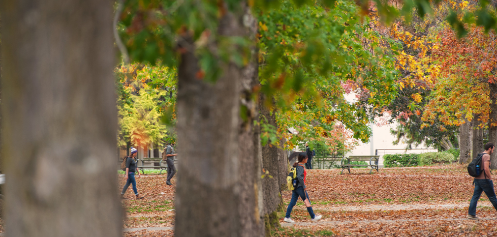 UBC campus in fall