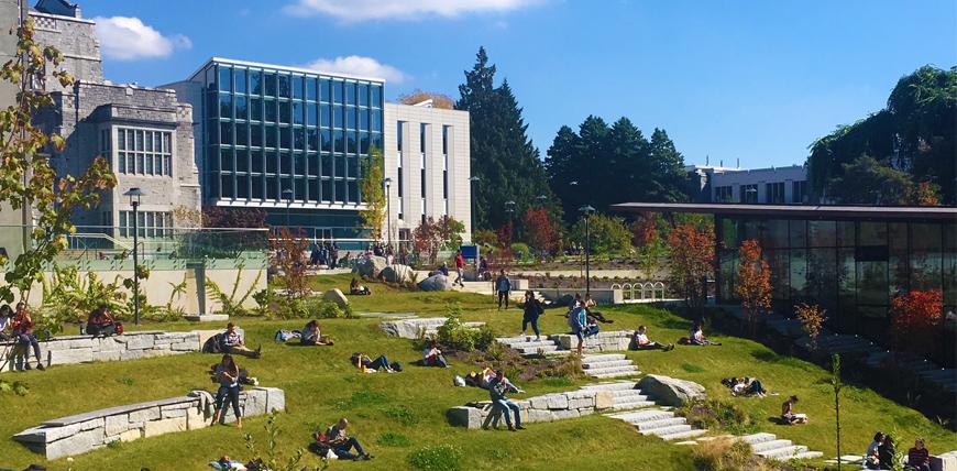 Students sit on the grass at Library Gardens