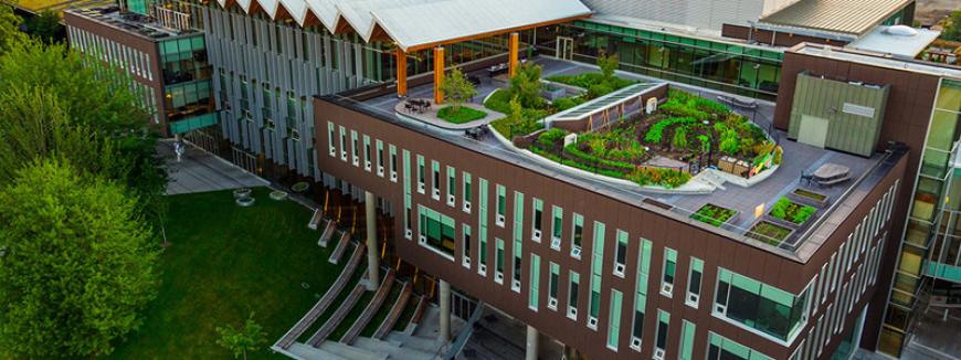 Rooftop garden in the Nest