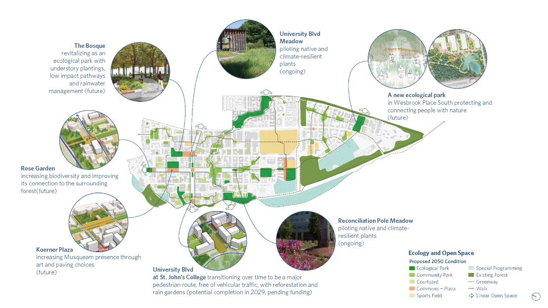Illustration of proposed update for ecology and open space on campus