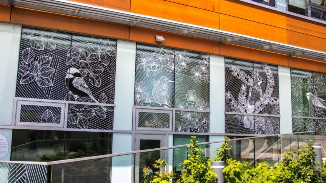 Bird friendly design sketches outside CIRS building