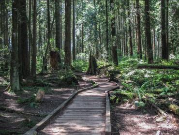 Image of Pacific Spirit Park