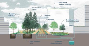 Cross section showing rainwater management strategies.