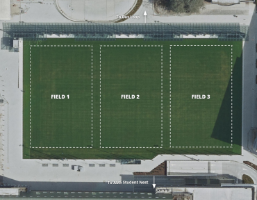 Turf field satellite view