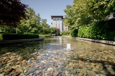 Water feature