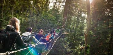 UBC botanical garden tree walk