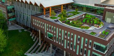 Rooftop garden in the Nest