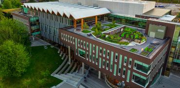 Rooftop garden in the Nest