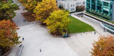 Trees and buildings surrounding a concrete plaza