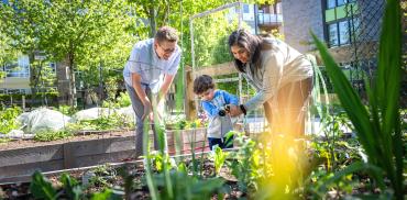 A family at a community garden in Wesbrook Place neighbourhood.